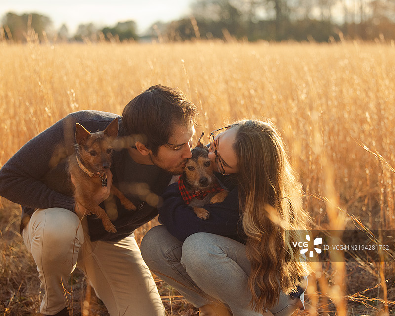 秋冬情侣肖像与小狗 - 麦田 - 亲吻小狗图片素材