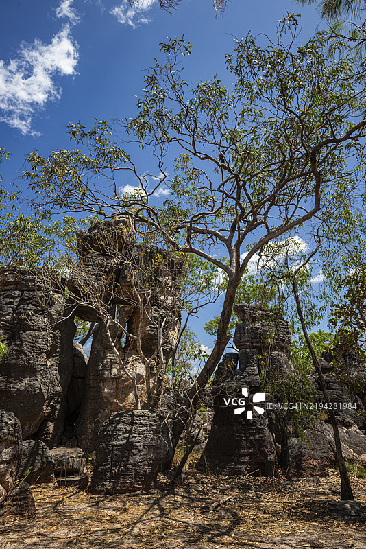 失落之城的岩石 formations，利奇菲尔德国家公园，北领地，澳大利亚，大洋洲图片素材