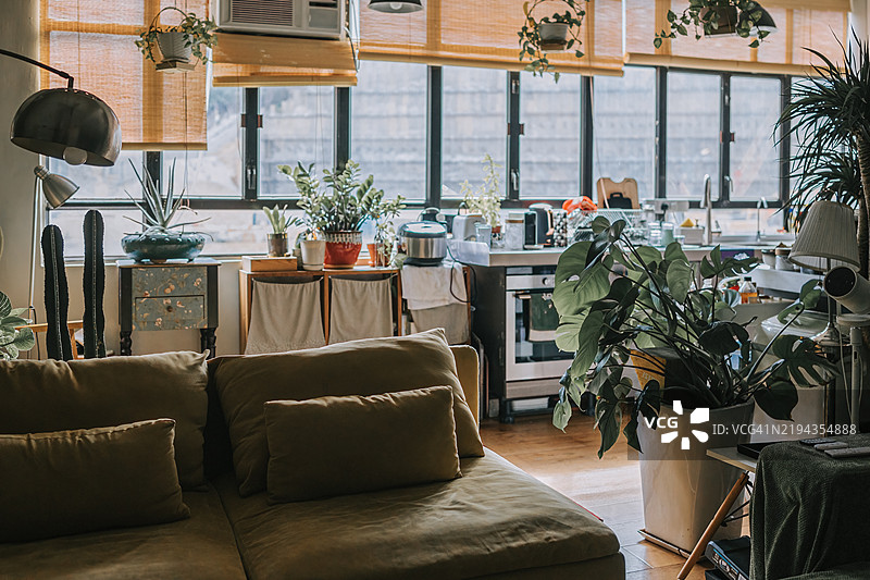 自然光背光的香港公寓图片素材