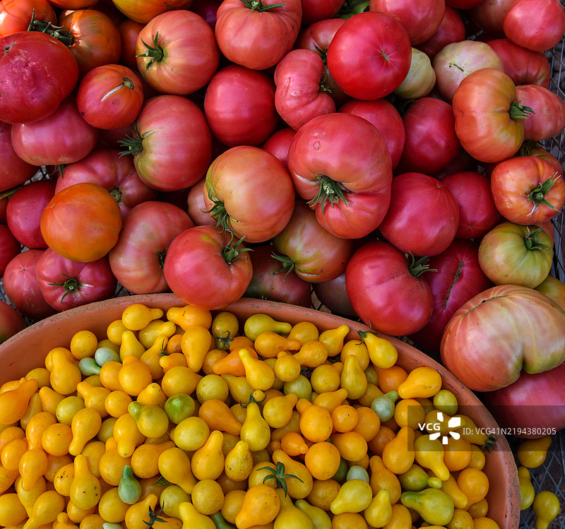 新鲜采摘的各种番茄在农场摊位上出售图片素材