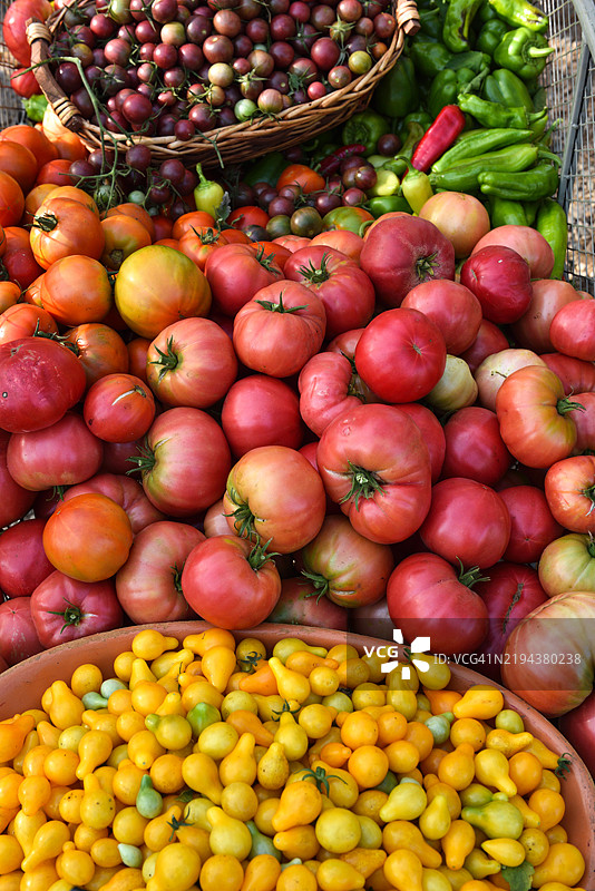 新鲜采摘的各种番茄在农场摊位上出售图片素材