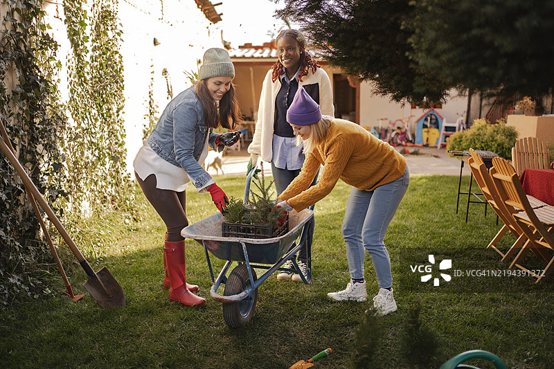 三个女性朋友在后院一起园艺图片素材