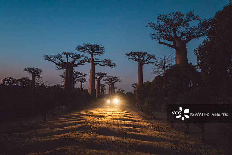 马达加斯加图片素材