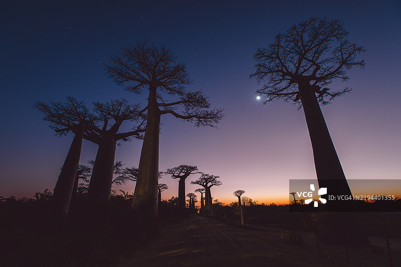 马达加斯加图片素材