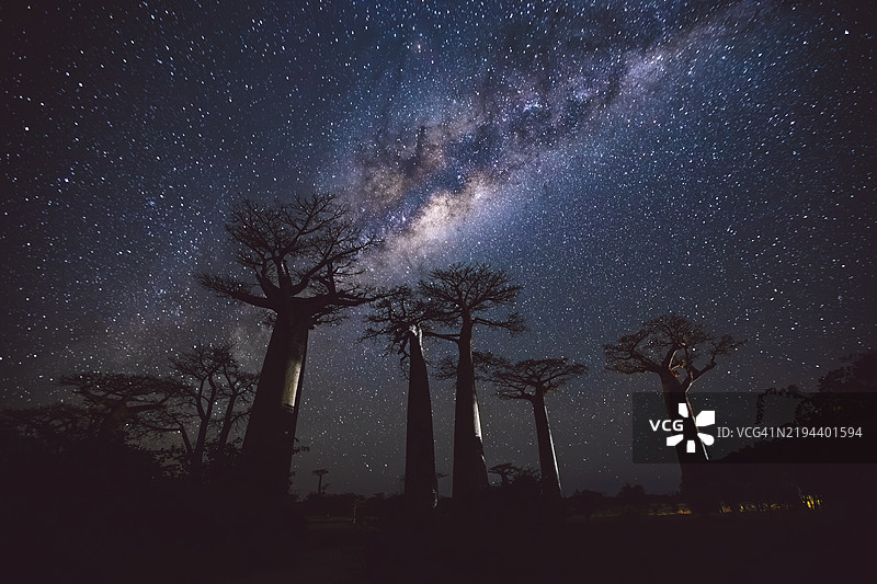 马达加斯加图片素材