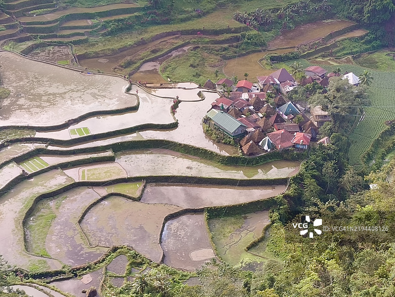 菲律宾科迪勒拉行政区伊富高的农业田地高角度视图图片素材