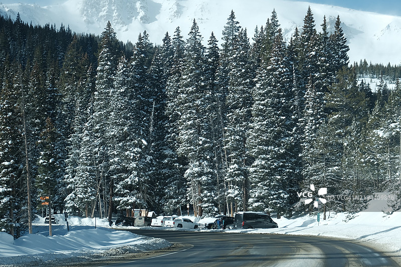 被雪覆盖的道路旁的树木与天空，丹佛，科罗拉多州，美国图片素材