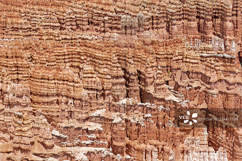 欣赏伟大事物的小细节，布莱斯峡谷国家公园，美国图片素材