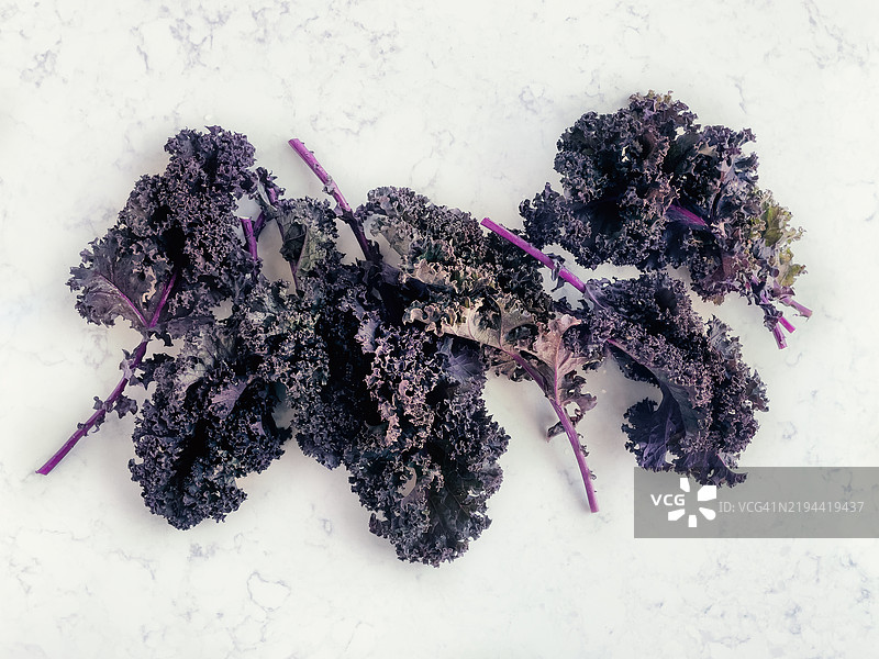 羽衣甘蓝叶子在白色背景上图片素材