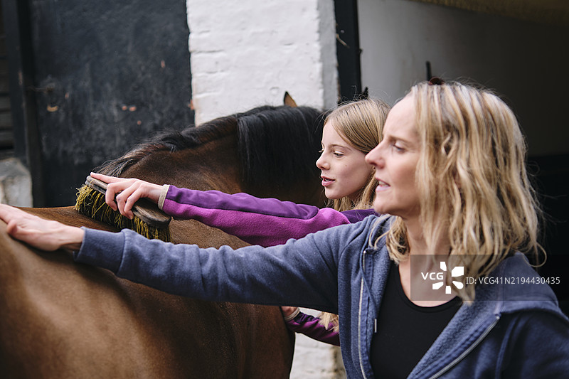 母女一起为马匹梳理毛发图片素材