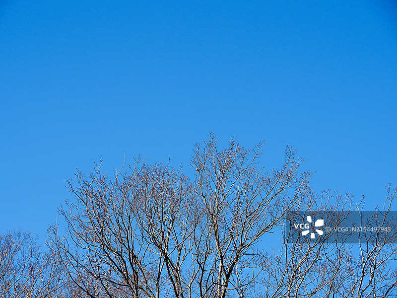 冬季天空图片素材