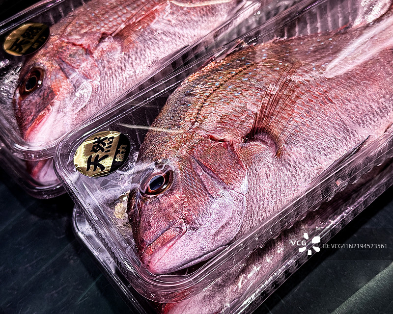 新鲜捕获的真鲷（红鲷鱼）图片素材