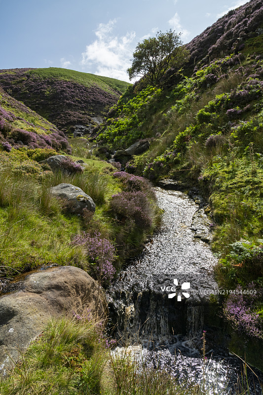 英格兰北德比郡山丘中的夏季沼泽溪流图片素材