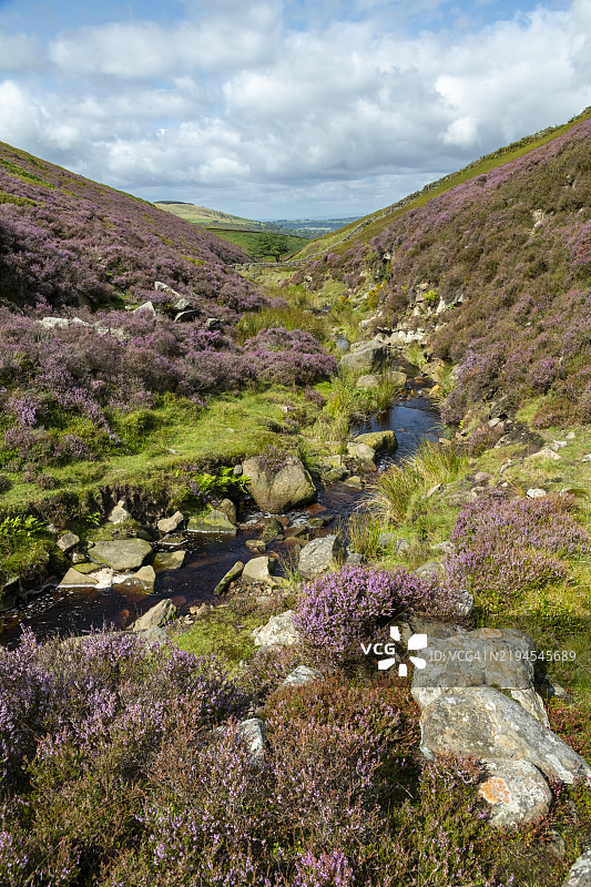英格兰北德比郡山丘中的夏季沼泽溪流图片素材