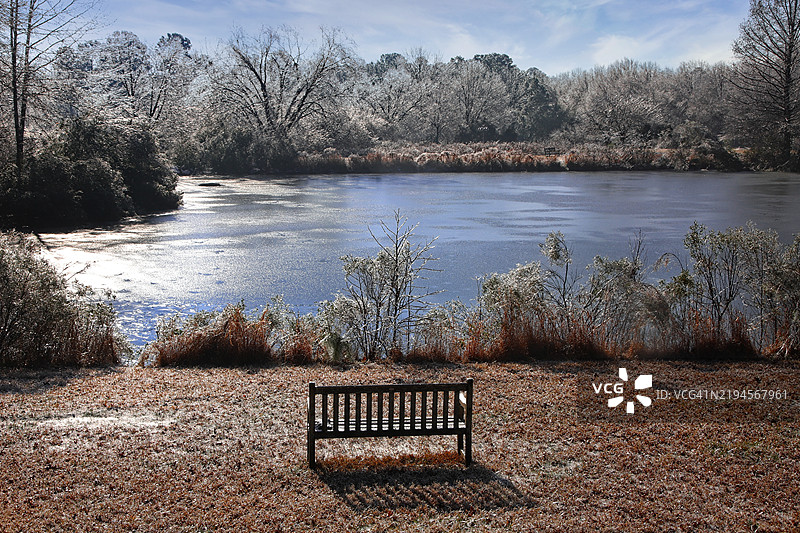 湖边被冰覆盖的树木图片素材