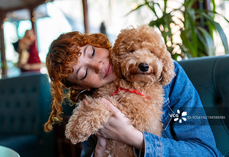 与我的贵宾犬放松时光图片素材