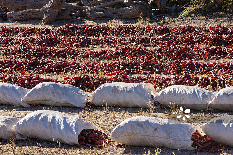在阿根廷萨尔塔的卡奇，阳光下晾晒的红辣椒图片素材