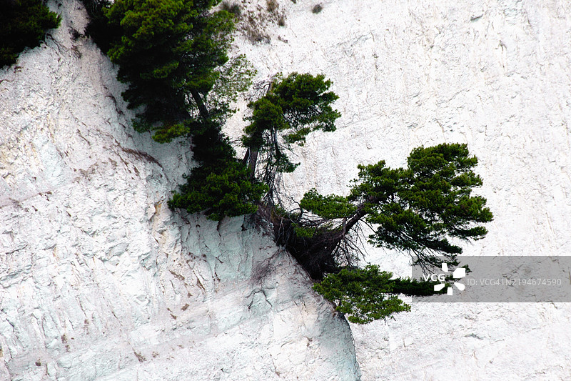 俯瞰双姐妹海滩的悬崖上的植被细节图片素材