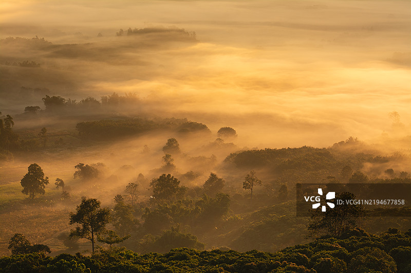泰国帕尧省普朗卡国家公园的日出晨雾旅行胜地图片素材
