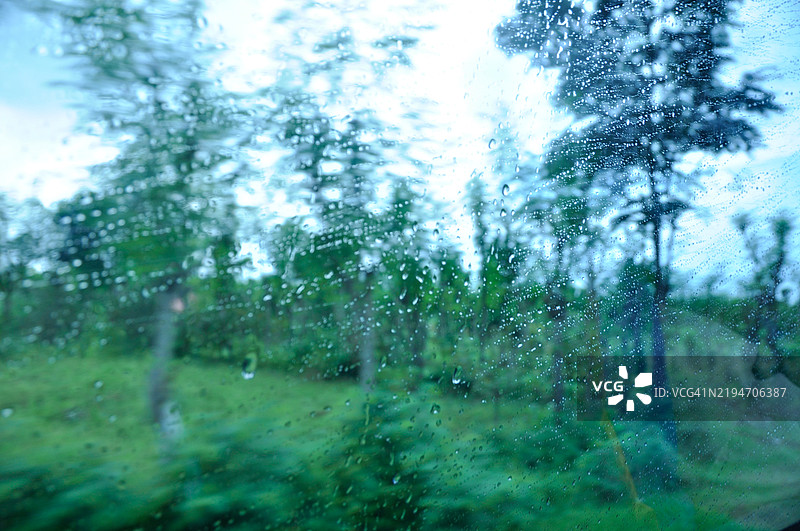 透过雨窗看热带森林图片素材