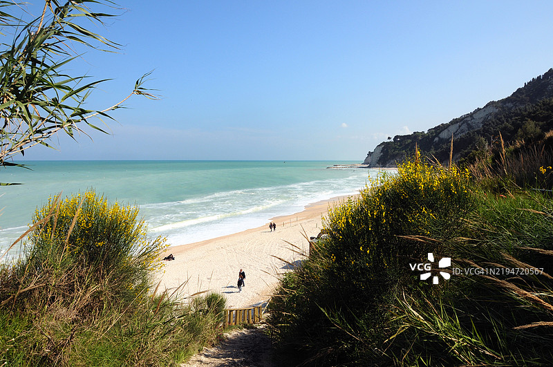 圣米歇尔海滩 - 扫帚图片素材