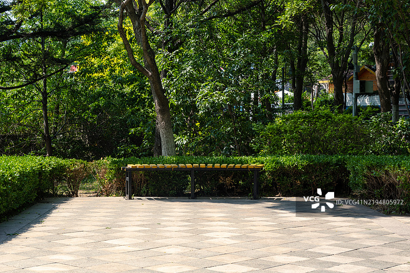 树荫下的公园长椅图片素材
