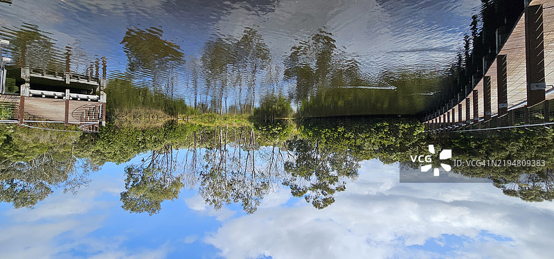 维多利亚州基斯伯勒隐秘林地湿地的初夏观景点图片素材