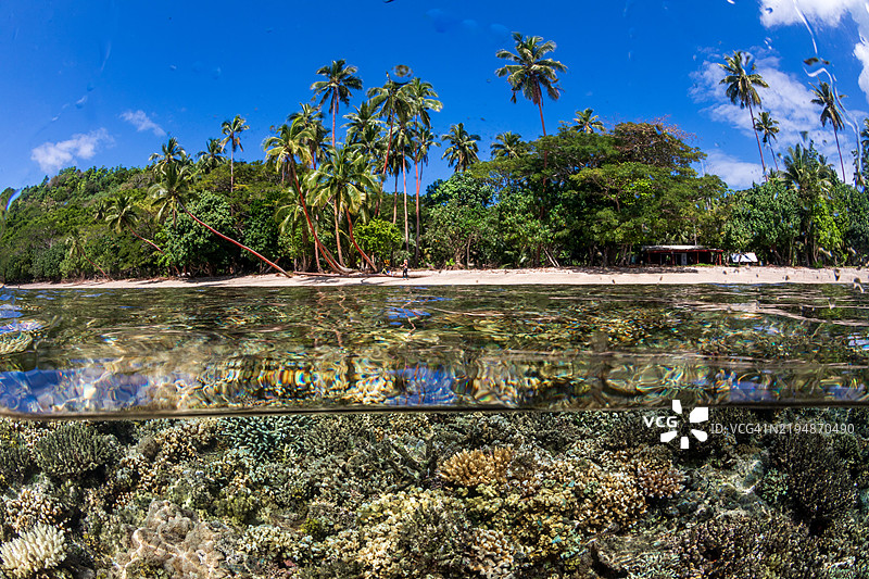 美丽岛屿与珊瑚礁的分割镜头图片素材
