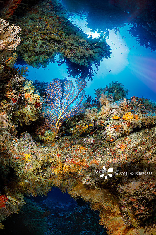 珊瑚拱门图片素材