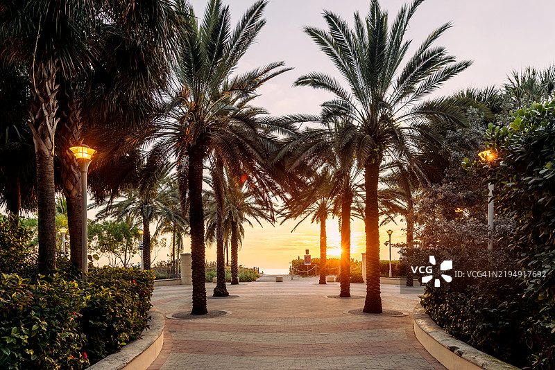 阳光透过棕榈树洒在迈阿密海滩的南海滩，日出时分，佛罗里达州，美国图片素材