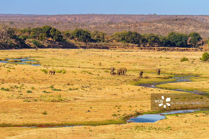 克鲁格国家公园鳄鱼桥的春季干旱季节景观。图片素材