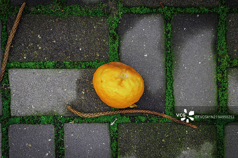 人行道上的腐烂橘子与冒芽的草丛图片素材