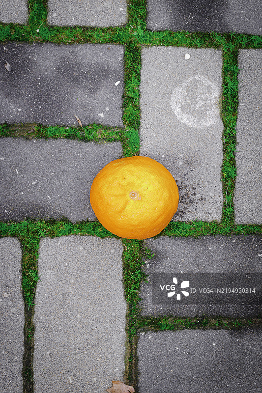 人行道上的腐烂橘子与冒芽的草丛图片素材