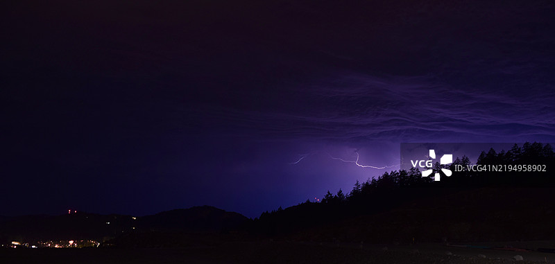 夜空下树木剪影的美丽景色图片素材