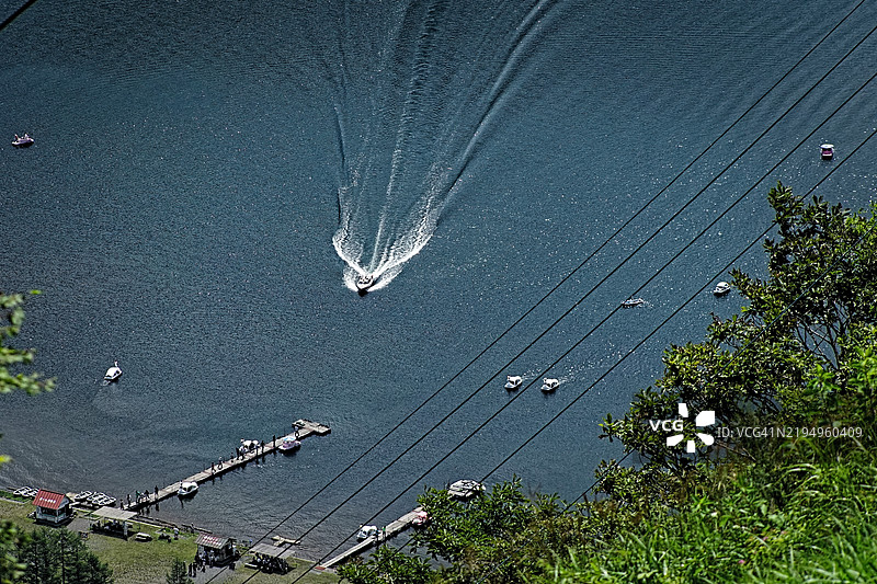 海边树木的高角度视图图片素材