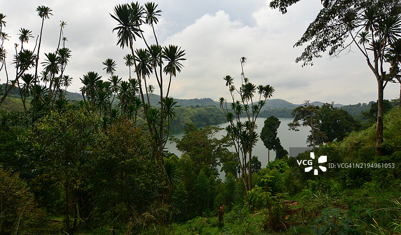 被郁郁葱葱的热带雨林环绕的火山口湖图片素材