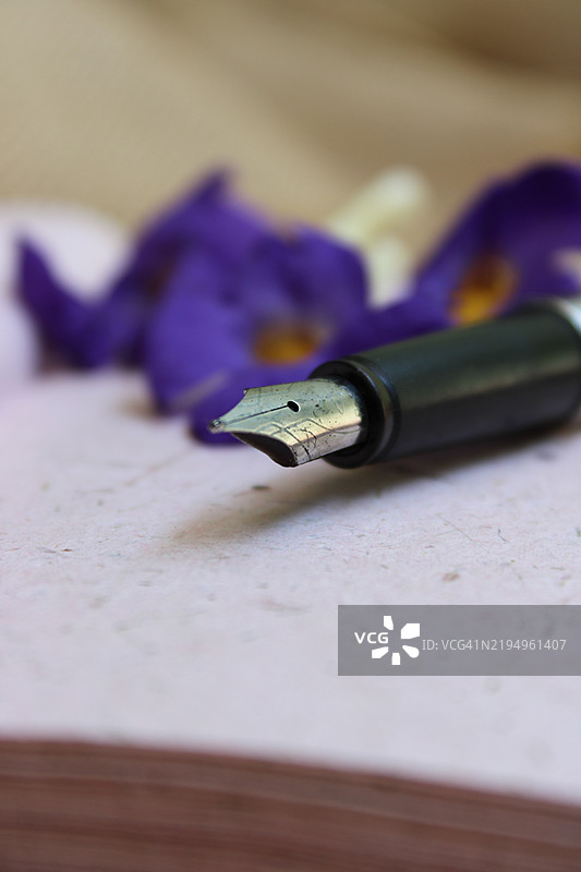 桌子上的钢笔特写，印度图片素材