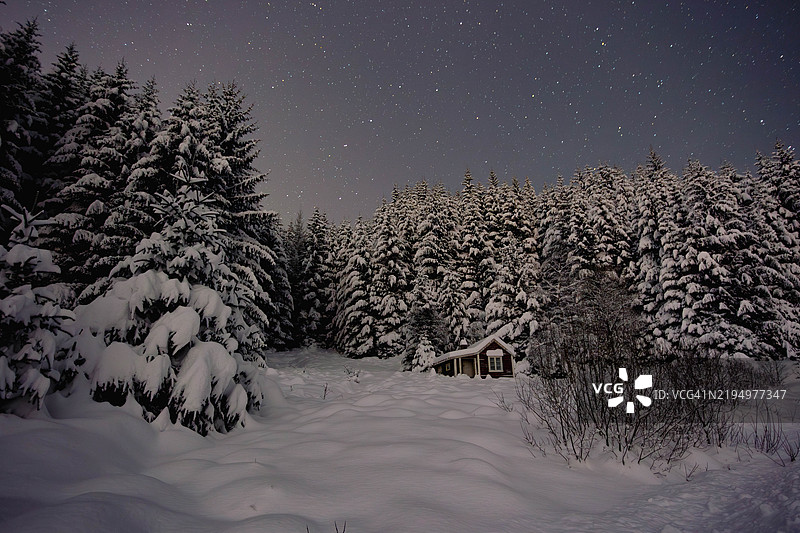 雪覆盖的田野上树木与天空相映成趣图片素材