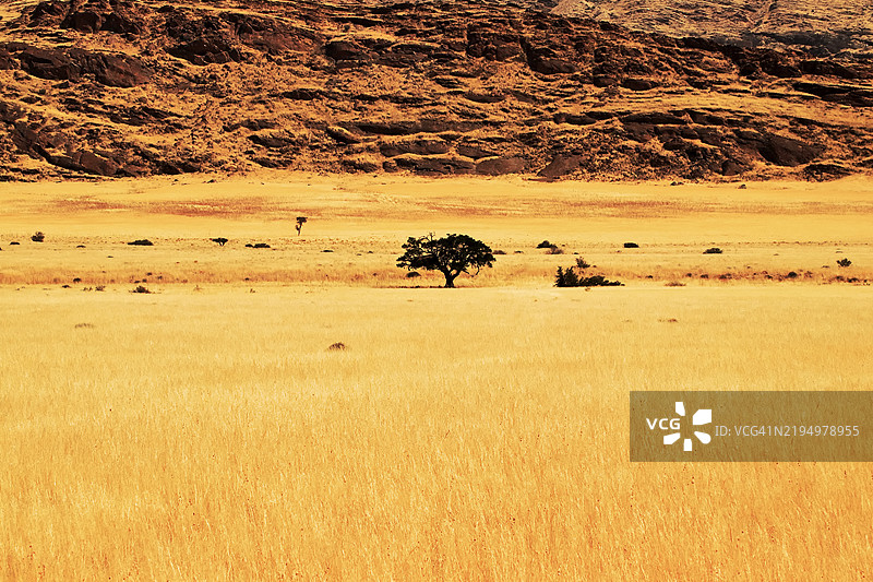 田野的美丽景色图片素材