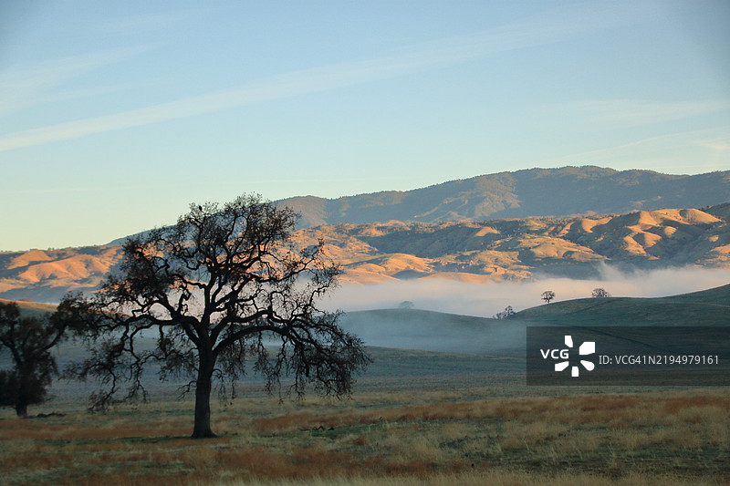 加利福尼亚州阿尔文的天空下的风景如画的景观图片素材