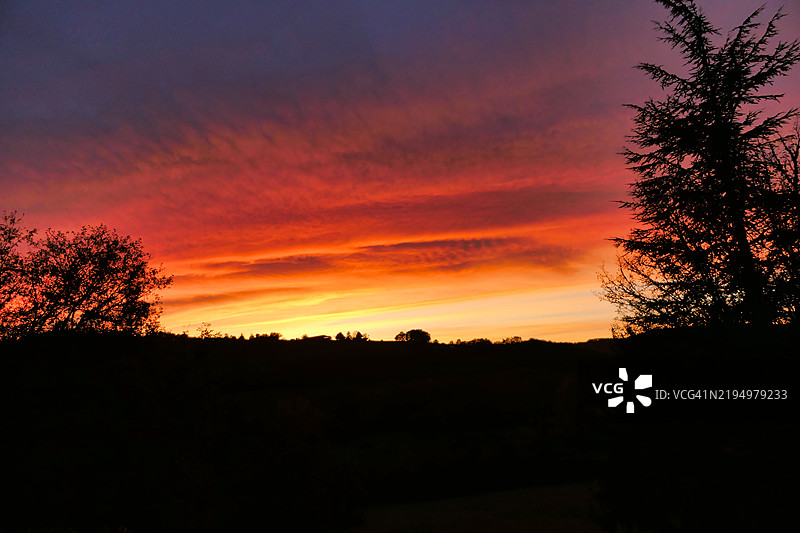 日落时分，法国多尔多涅的天空中树木的剪影图片素材
