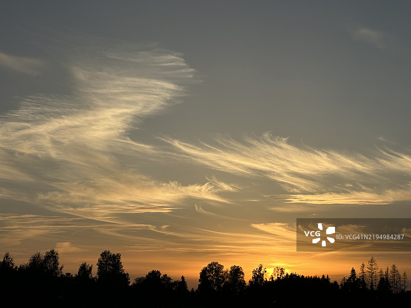 橙色日落与树木上方的卷云，位于爱沙尼亚塔尔图市Raadi附近图片素材