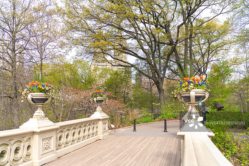 纽约市，曼哈顿，中央公园。春天的桥梁图片素材