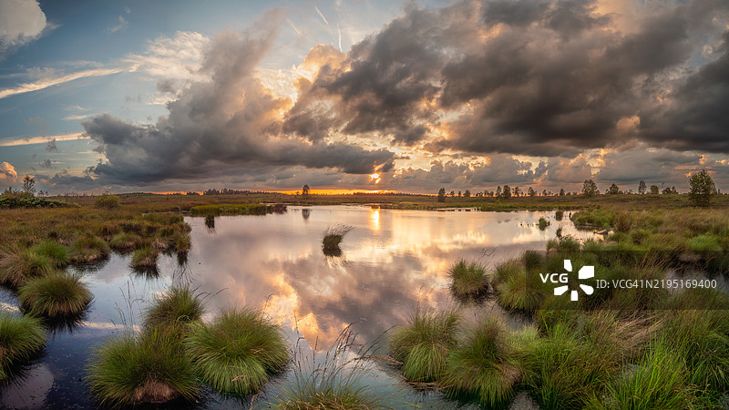 日落时分,高原(Hautes Fagnes)的大池塘或泥炭沼泽中,水生植物映衬着天空中的云彩,正值黄金时刻,位于高芬斯-艾菲尔自然公园,列日省,比利时阿登地区,瓦隆大区,比利时。图片素材