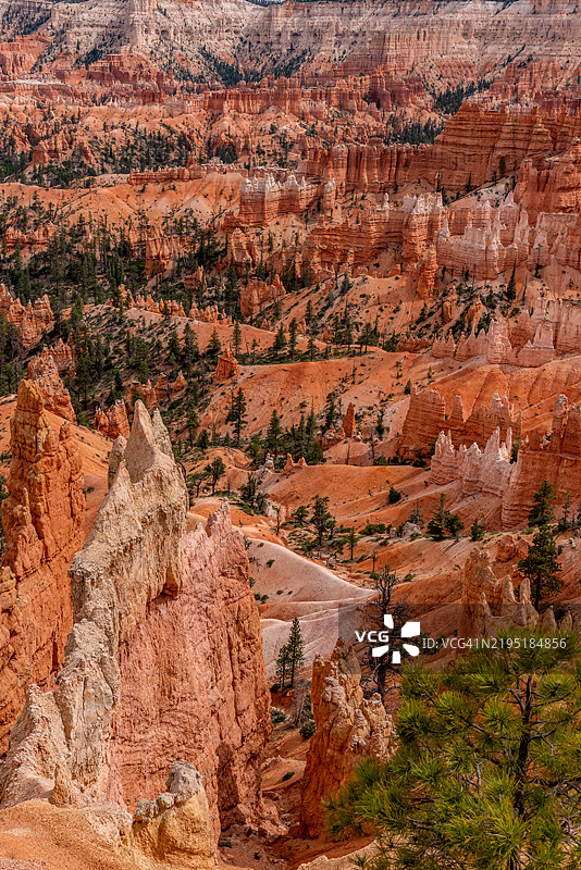 布莱斯峡谷国家公园，犹他州，美国图片素材