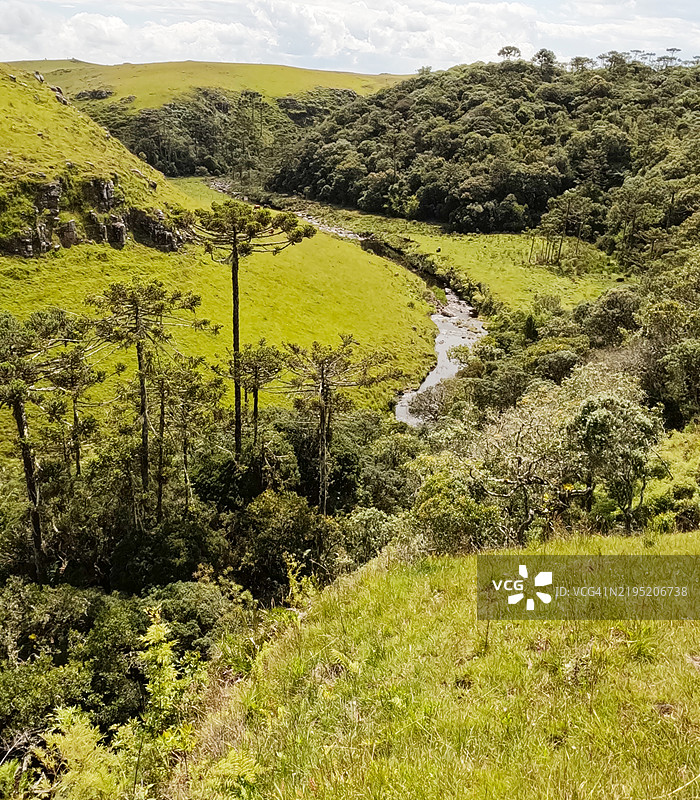 巴西圣卡塔琳娜州博姆贾尔丁达塞拉的田野中的河流图片素材