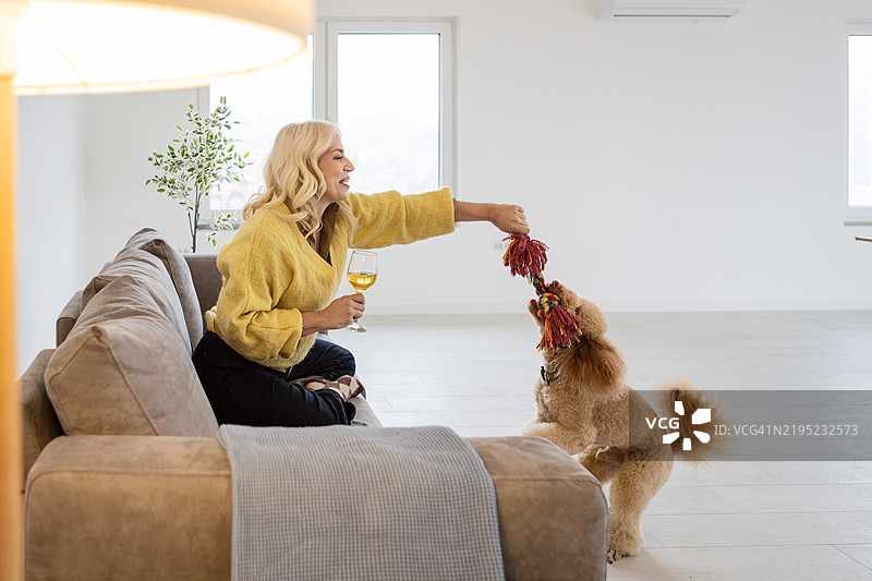 女人在沙发上与她的狗亲密互动图片素材