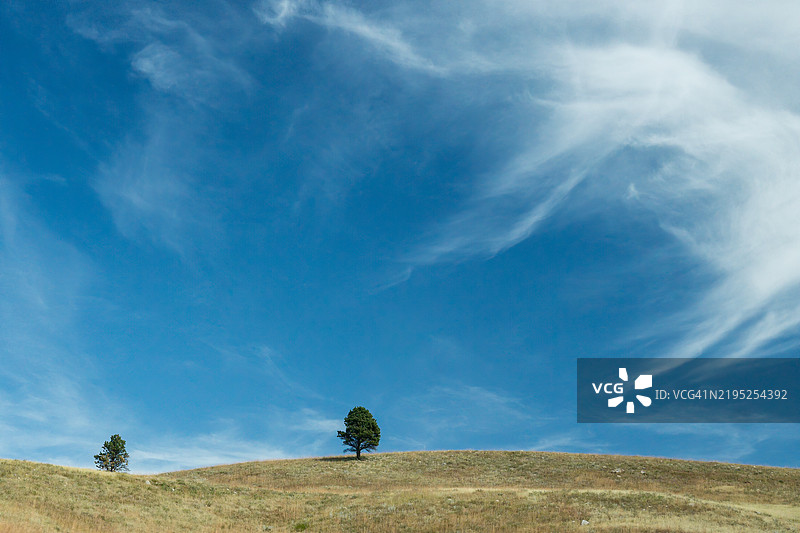 山脊上的两棵树与戏剧性的天空图片素材