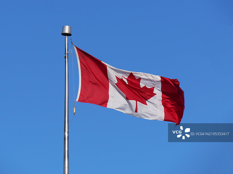 加拿大国旗在旗杆上，背景是蓝天。图片素材