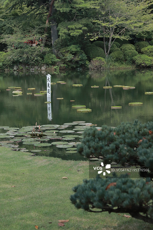 日本湖泊的美丽景色图片素材